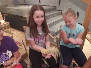 zdj_6_Jan%%C3%%B3w_L._3d